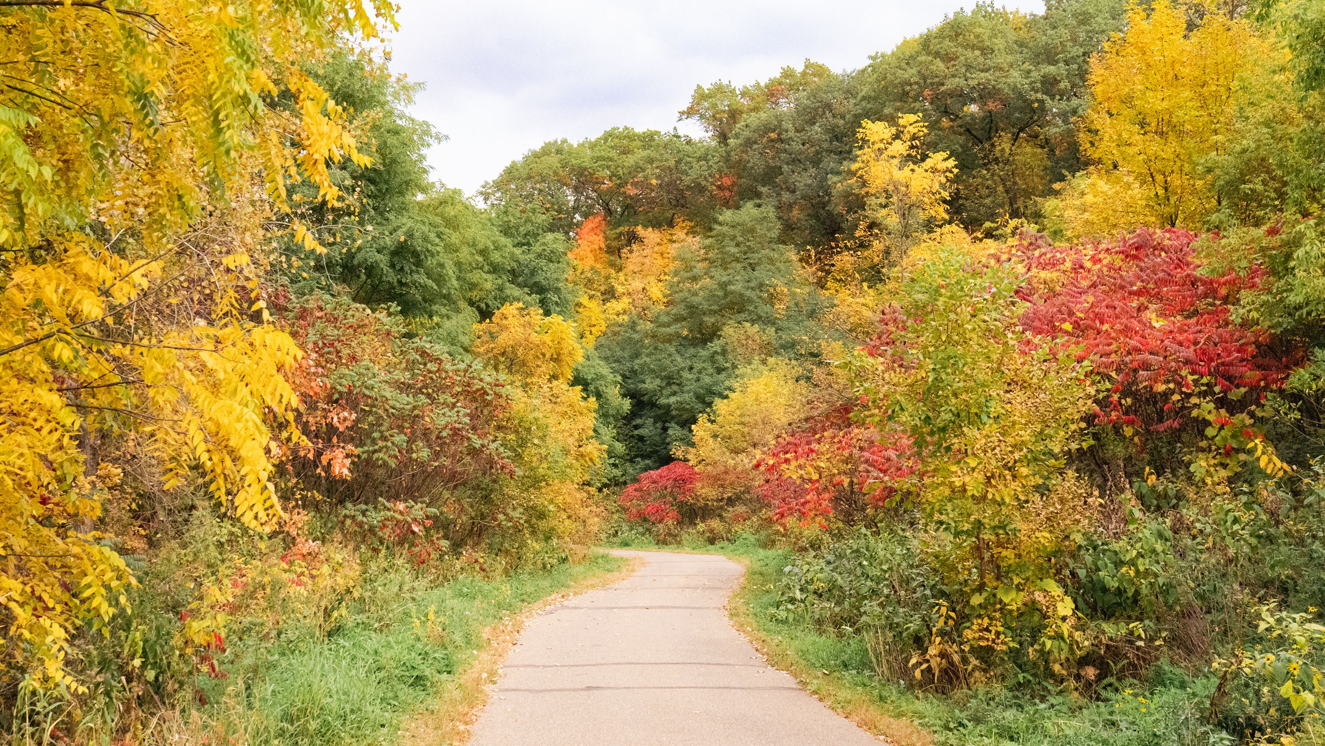 Kaposia Trail - Fall