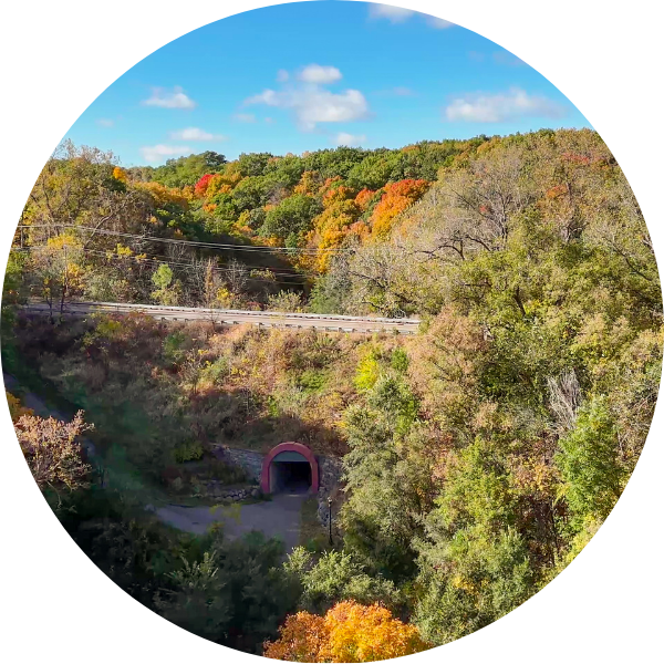 Aerial view of autumn trees