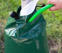 Tree Water Bag with a hose filling it up